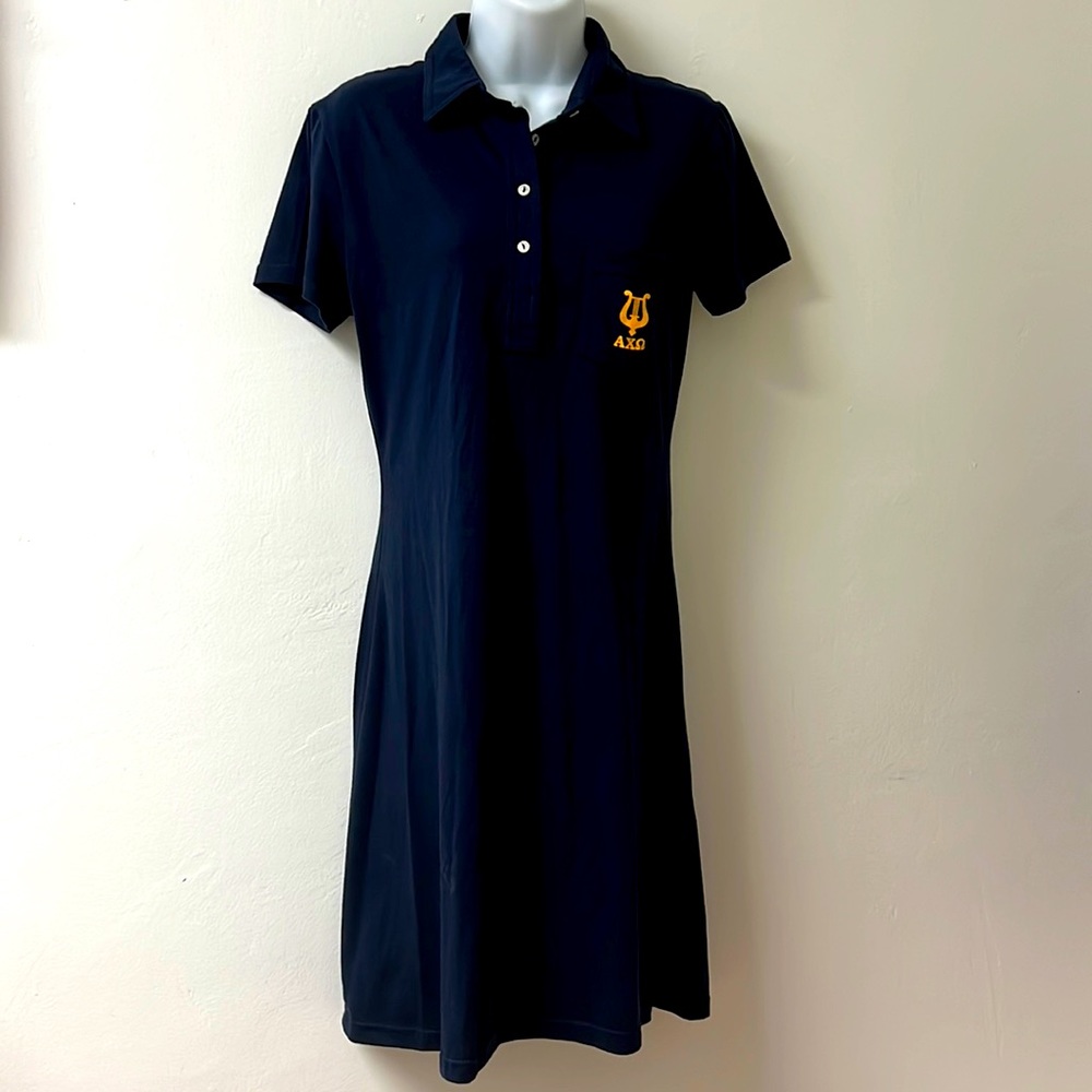 Alpha chi omega AXO sorority dress size L 💚
